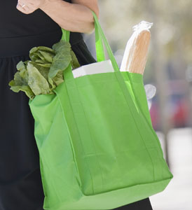 Study: reusable shopping bags can harbor potentially harmful bacteria ...