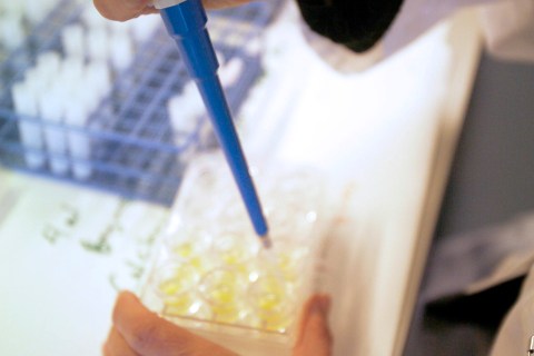 A lab technician at Novo Nordisk conducts in vitro research