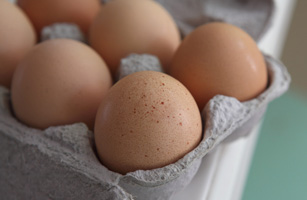 Egg Prices Rise 40 Percent After Major Salmonella Outbreak
