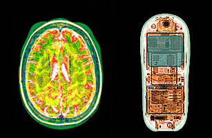 Cell Phone, Brain Scan