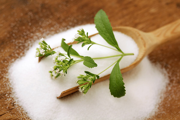 Stevia Extract | A Guide to What's Actually in Your Sweetener of Choice |  TIME.com