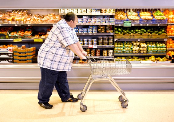 Fat Forecast 42 Of Americans Could Be Obese By 2030 