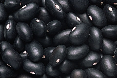 blackbean