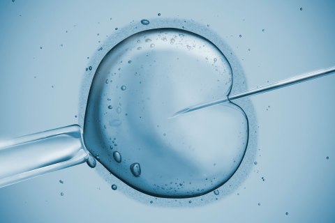 top10_medical_infertility_mouse_stemcell